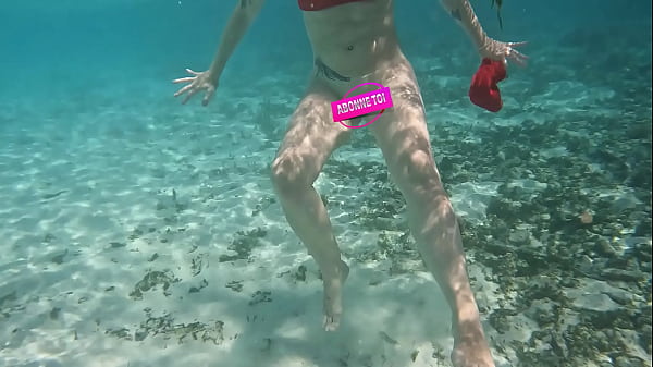 Il fait chaud, viens te rafraichir avec moi dans les eaux turquoises des ...