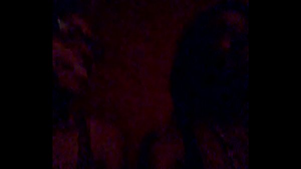 Tristina Millz New Porn regulations whats the public thoughts