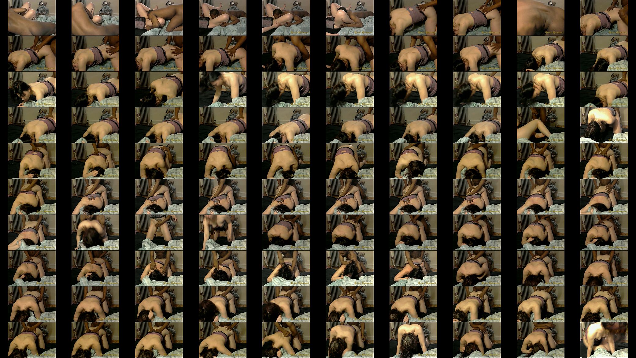 Doggy mania 预览图