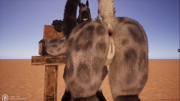 Download Video - Wild Life Furry Hentai