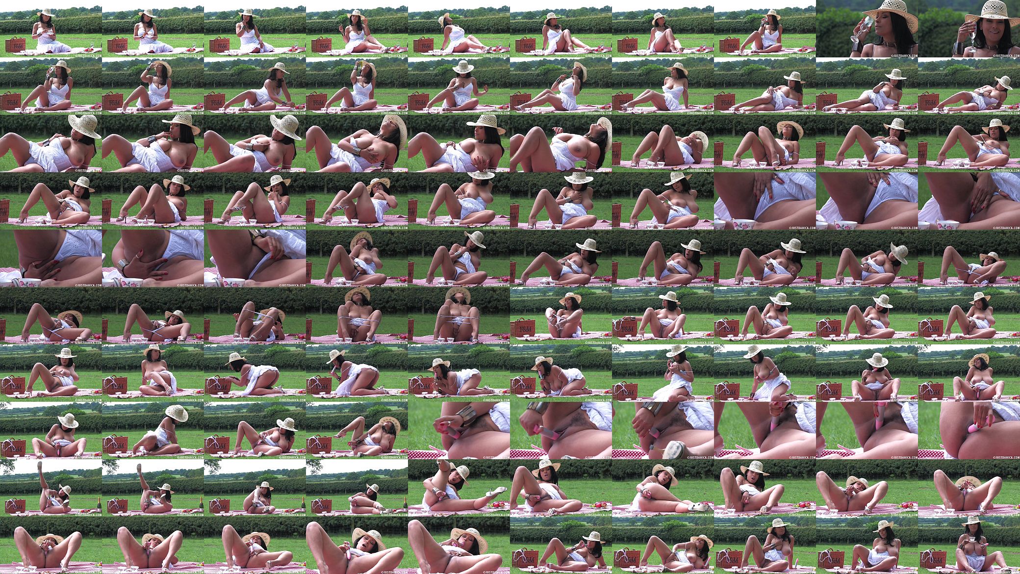Donna Ambrose Picnic and a Wank 预览图