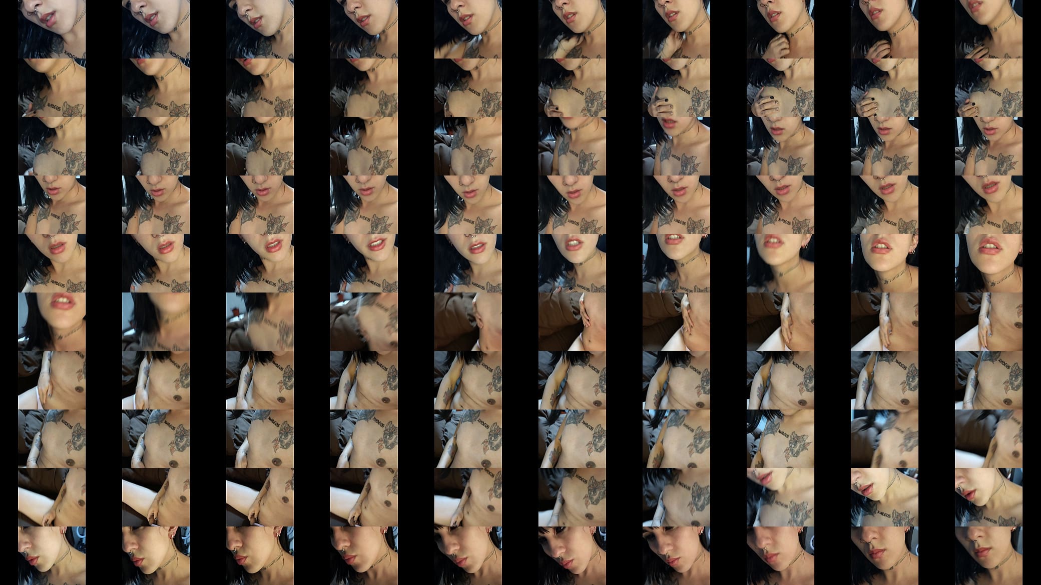 Verification video 预览图