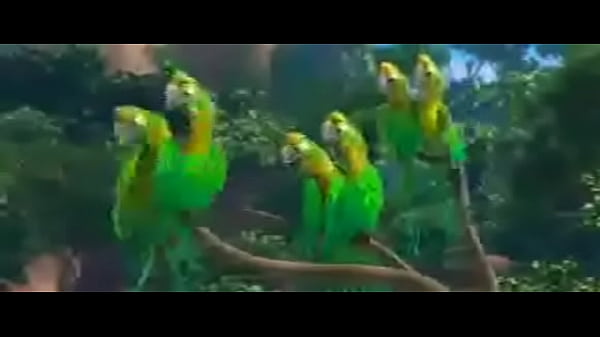 VID-20131104-WA0000