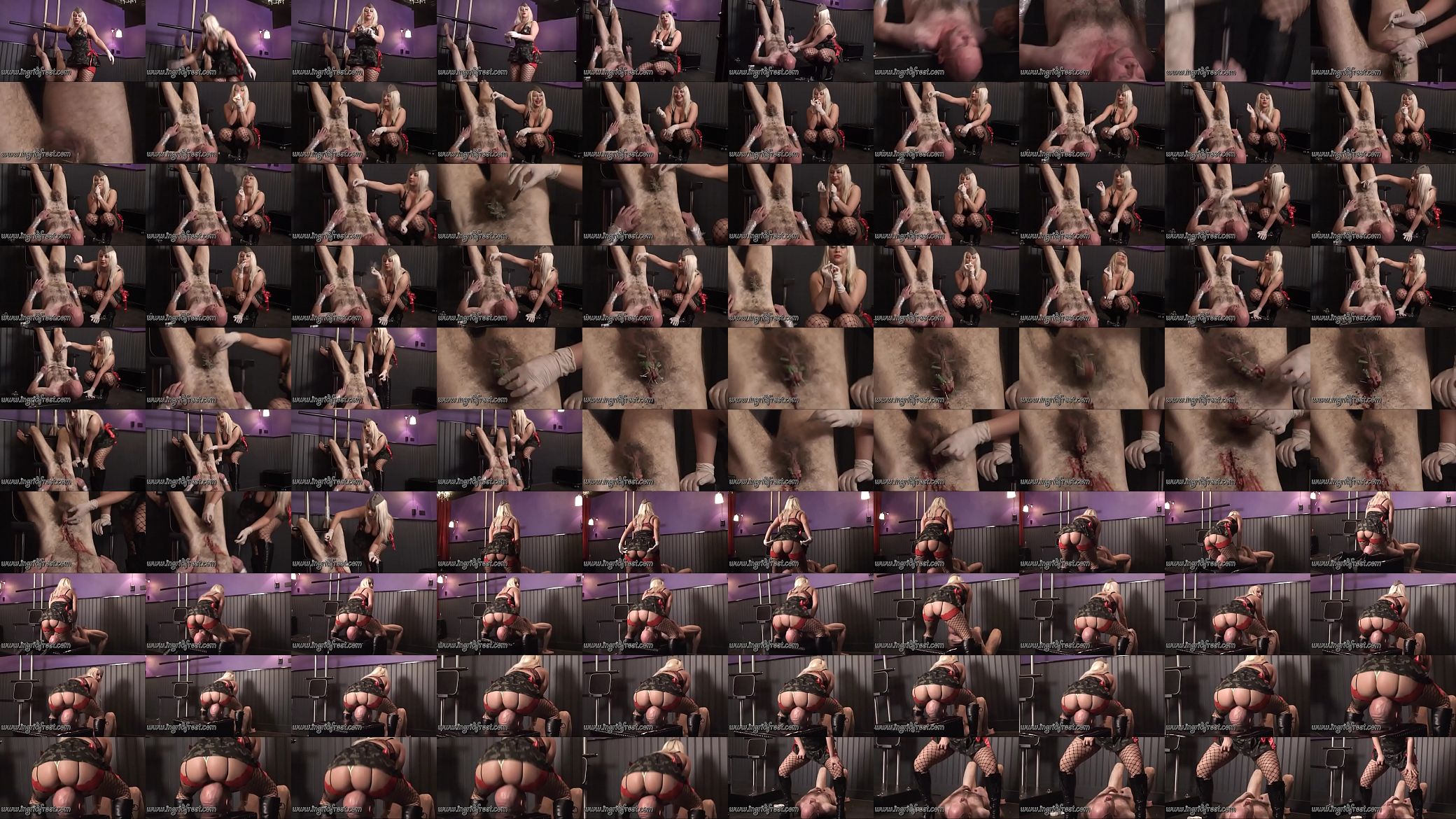 HUMAN  TOILETS  OF  INGRID  FROST ! 预览图