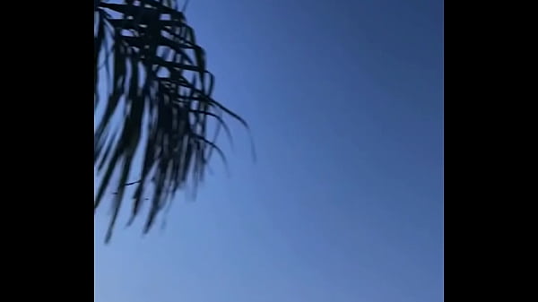 - Update #88 (2023-03-27T21:29:01.000Z)