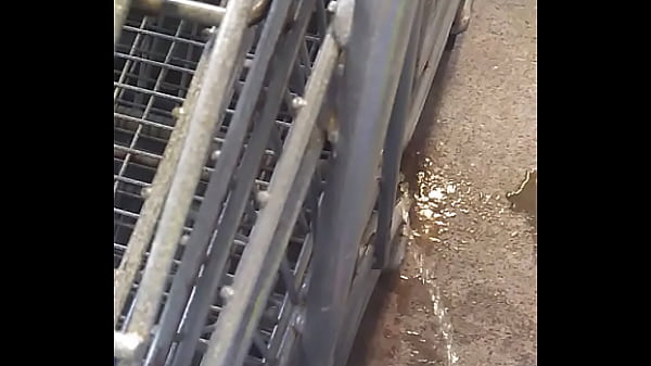 Download Video - piss at work