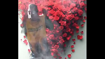 Roberto o preto faz sua dança do acasalamento que excita todas as fêmeas