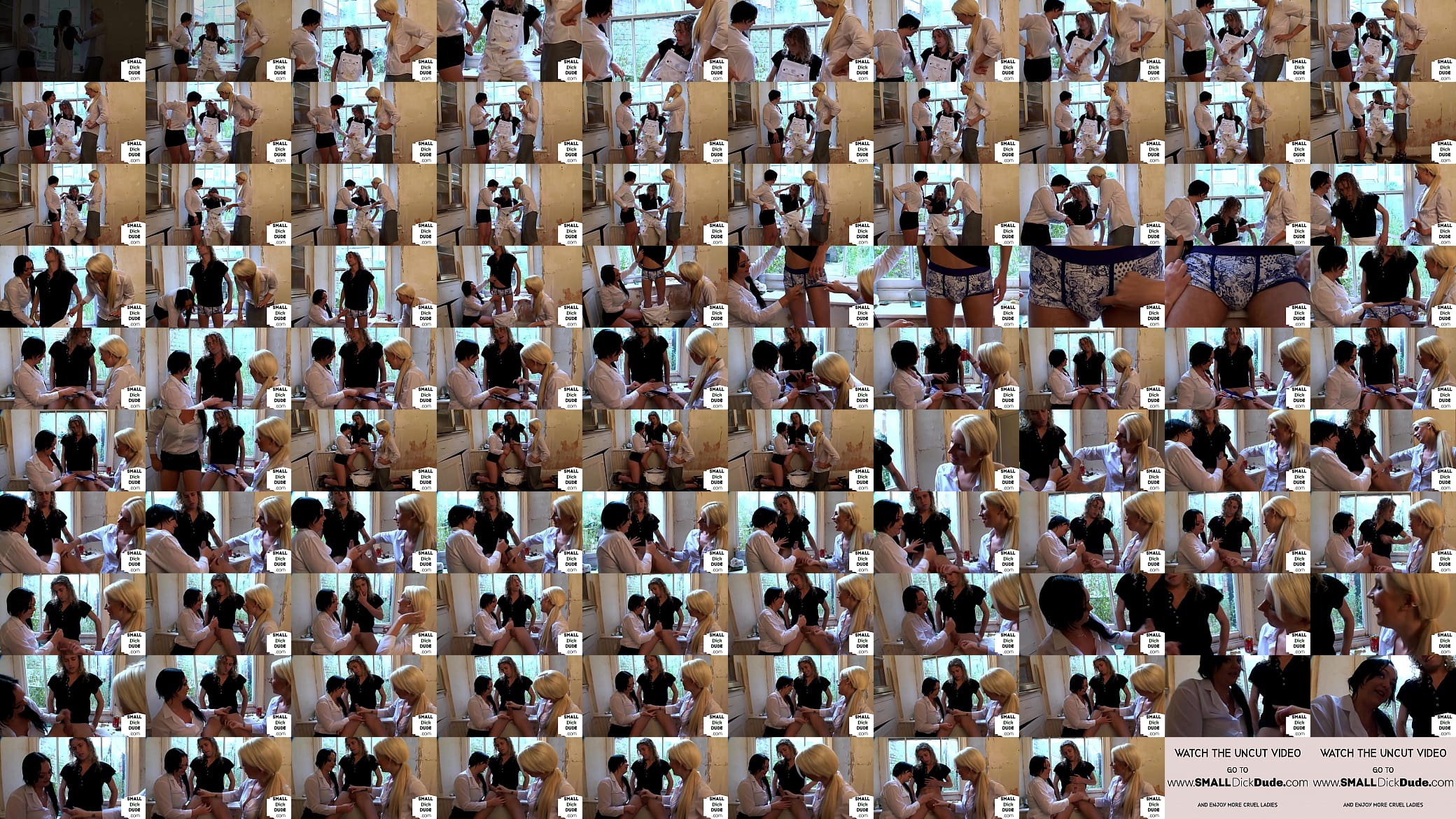 Femdom 3some CFNM babes jerk cock in their slutty hands 预览图