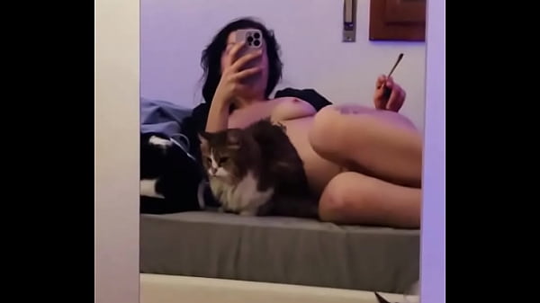 How many pussy can you see in the video!?