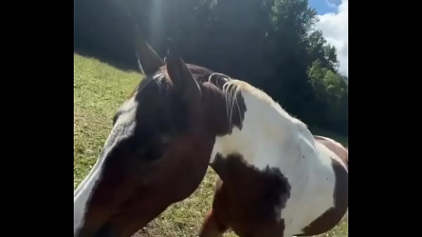 Tetovált modell lovakkal a célvonal felé