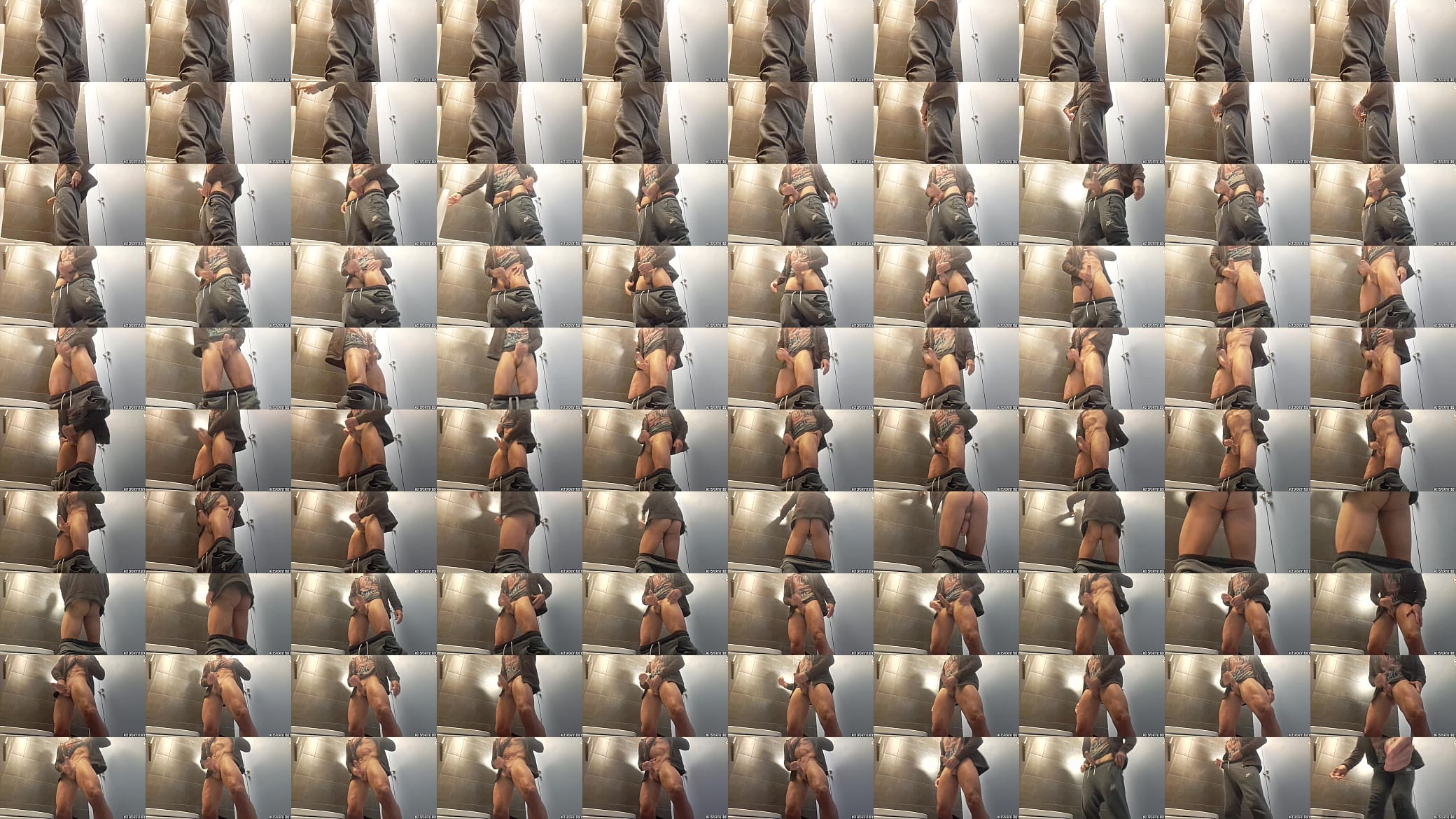 Sexy and Risky masturbation in a public bathroom 预览图