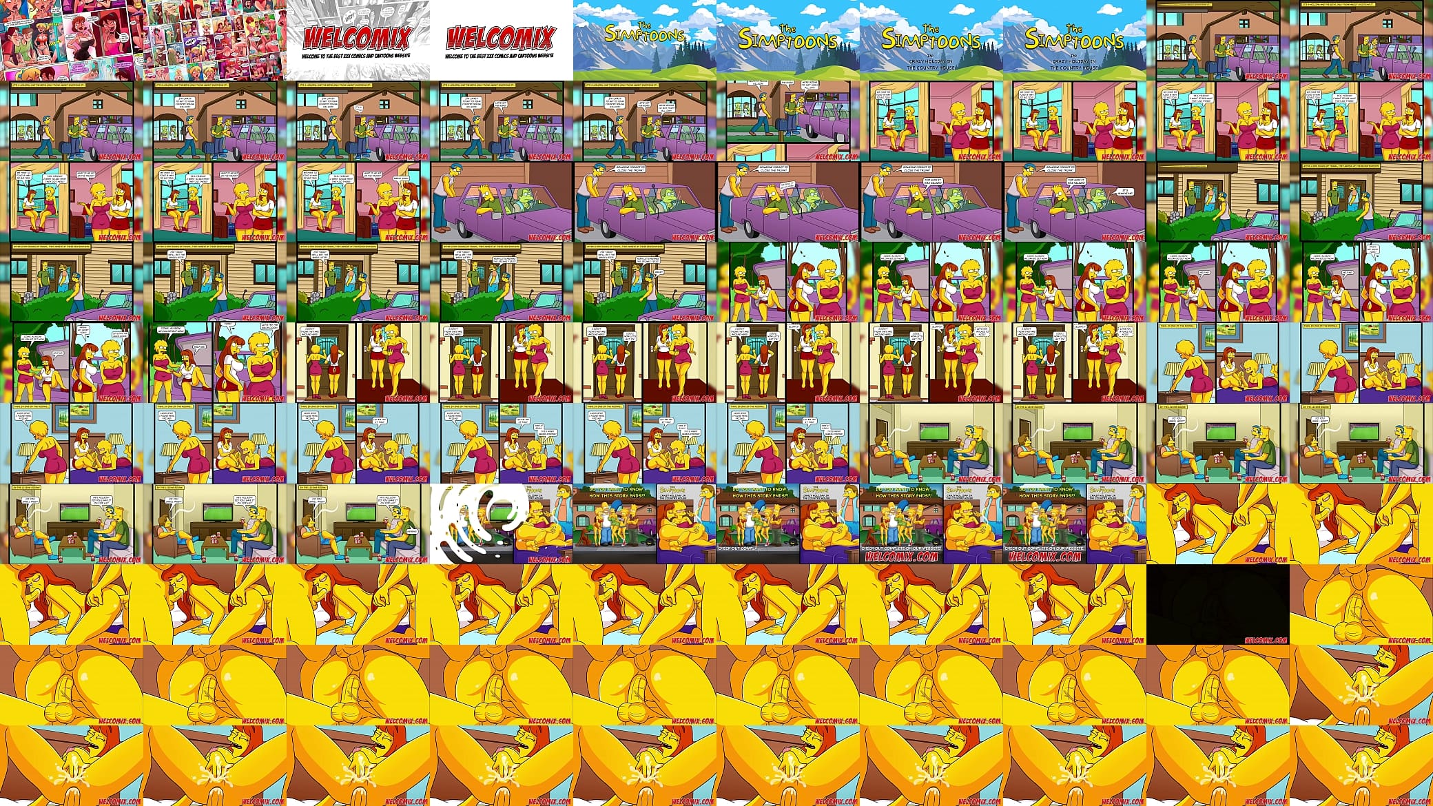Crazy holiday in the country house - The Simptoons 预览图
