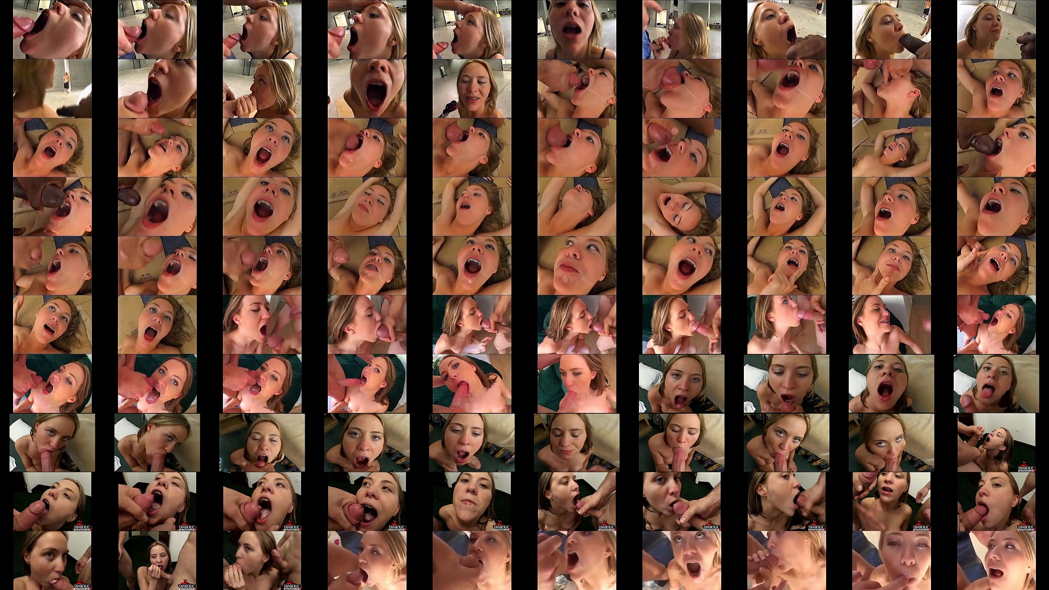 Rose Petal swallow compilation almost complete 预览图