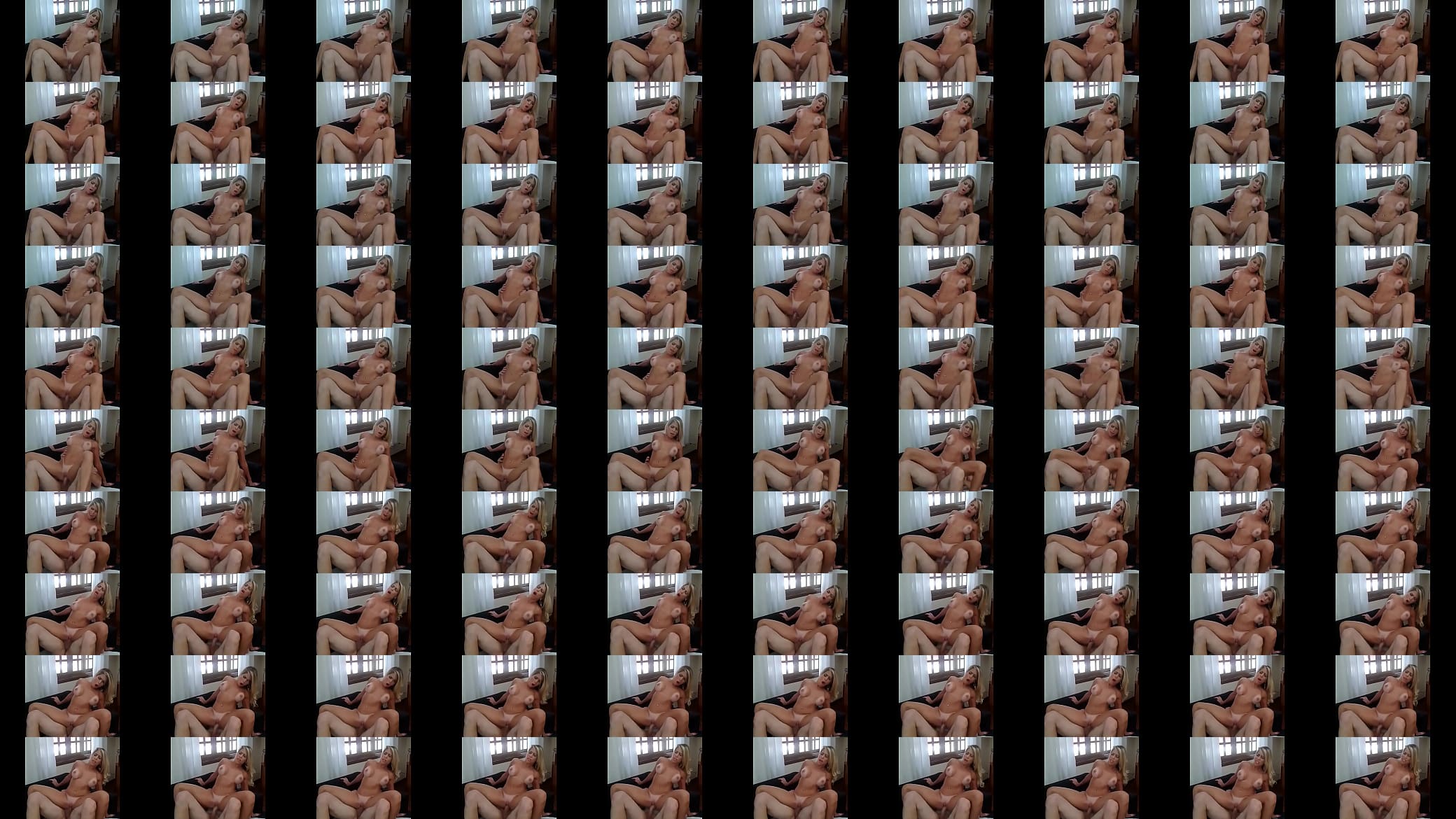Quem &eacute; essa loira 预览图