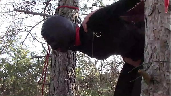 Tied up to a tree outdoor on sexy clothes, wearing pantyhose and high ankle boots heels, rough fuck