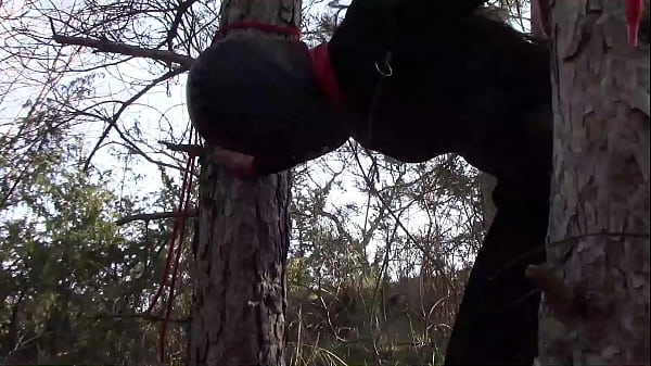 Tied up to a tree outdoor on sexy clothes, wearing pantyhose and high ankle boots heels, rough fuck