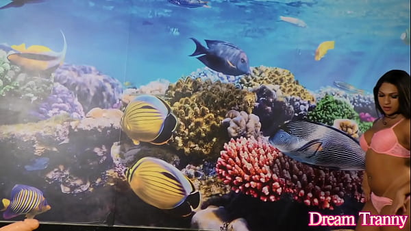 Tranny Leticia Le Farias Doggy Fucked by The Machine