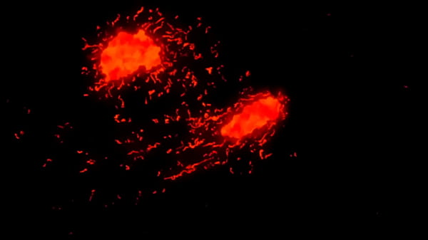 PV Knight of Erin 04 [Assista Completo em Portugu&ecirc;s no link a seguir https://tny.so/3AFDV0d ]