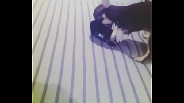 (jimenasanchezmx)1ae980823abb11e3979b22000a9f4ded 101