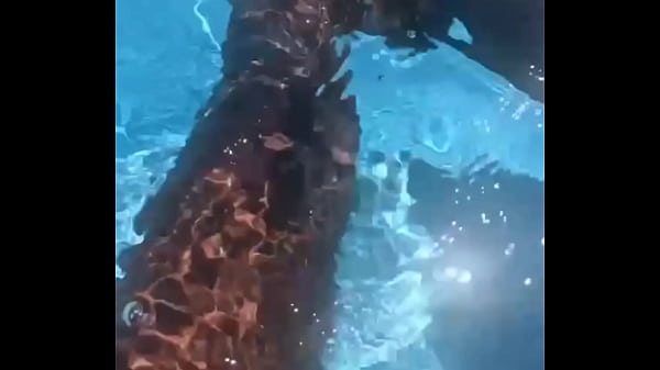 Me gusta tocarme en la piscina mientras el vecina me mira