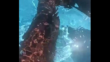 Me gusta tocarme en la piscina mientras el vecina me mira