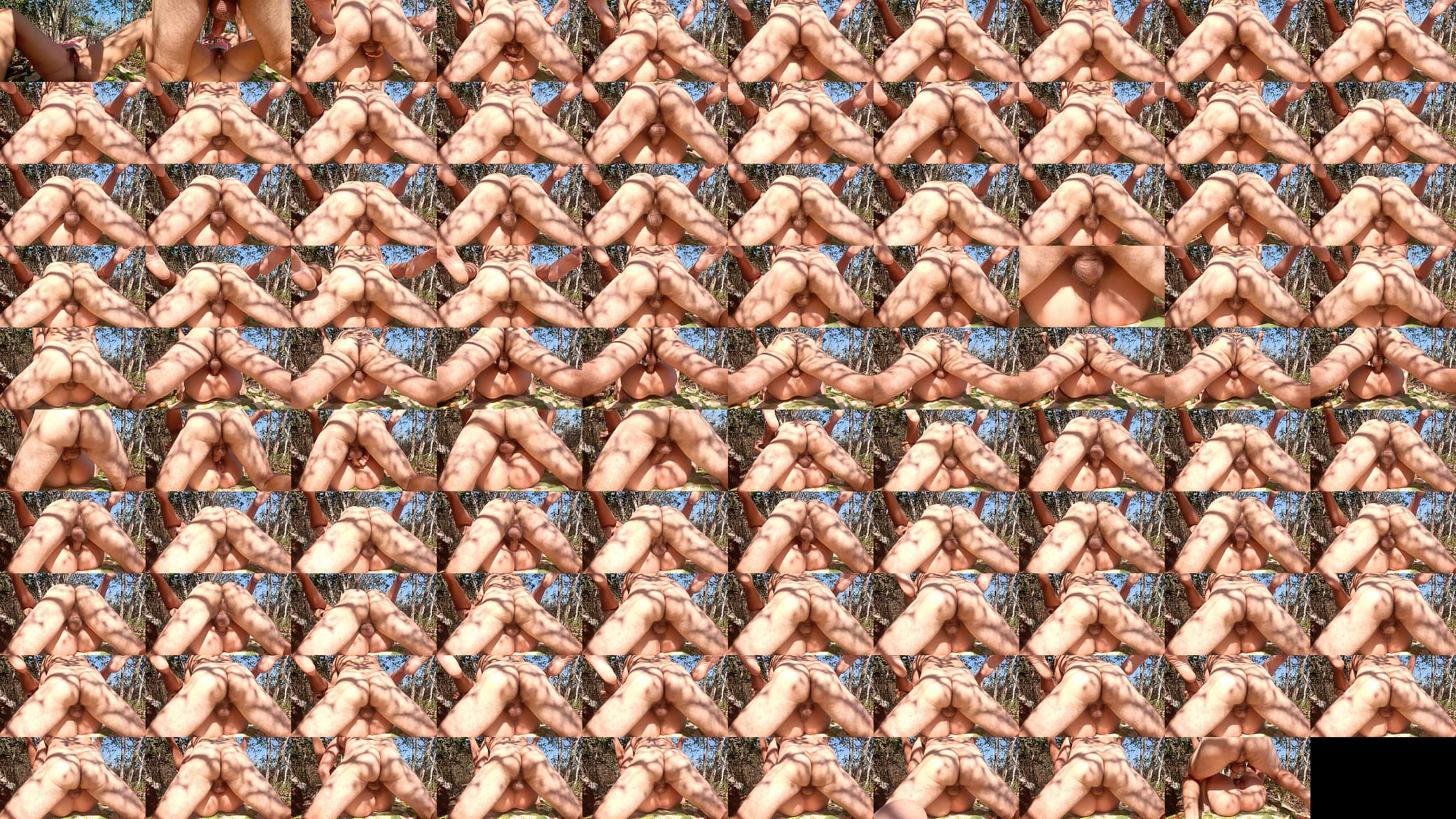 Mosionary position in the middle of the forest. 预览图