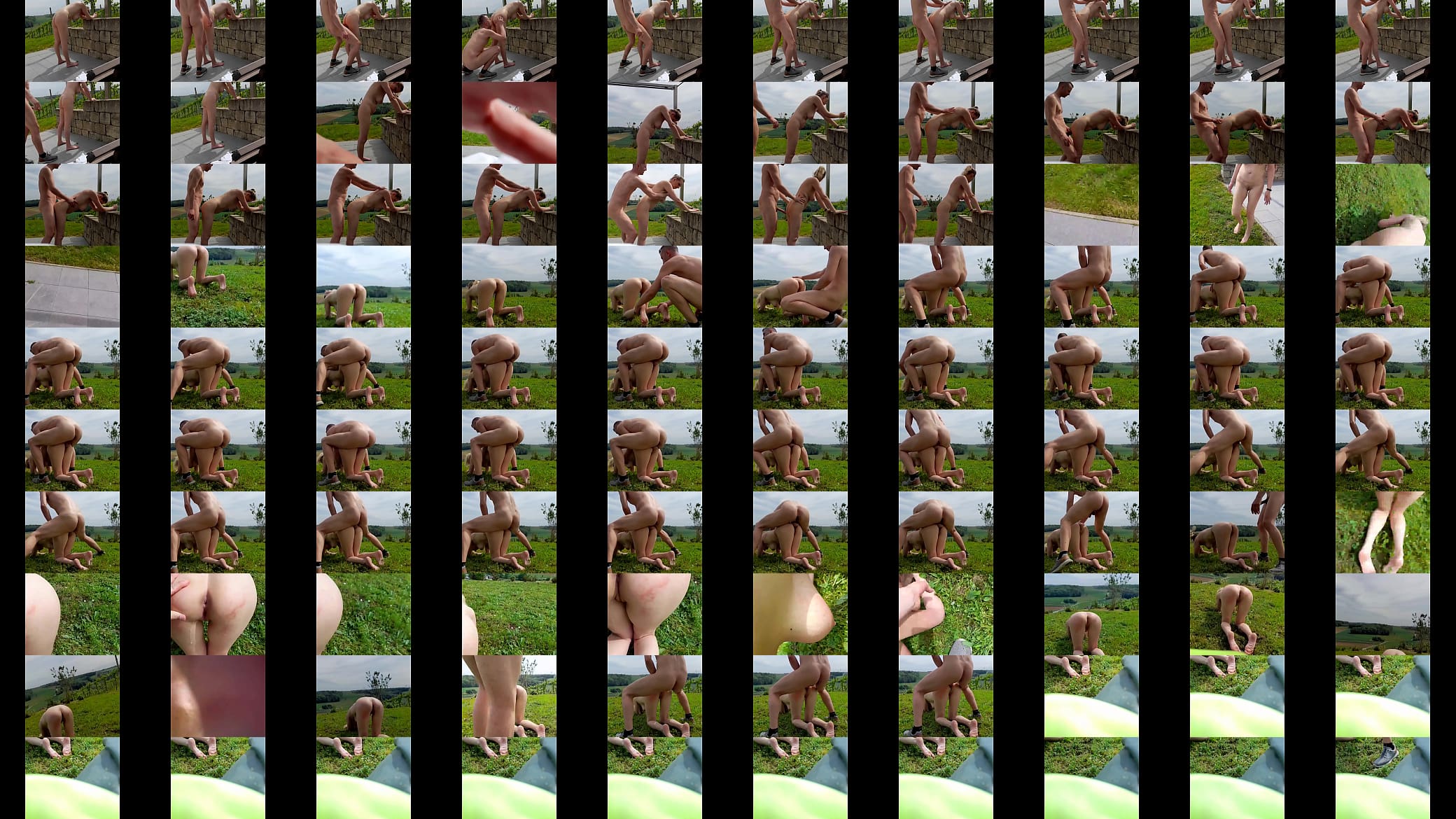 German Milf Sandra Garden Sex anal 预览图