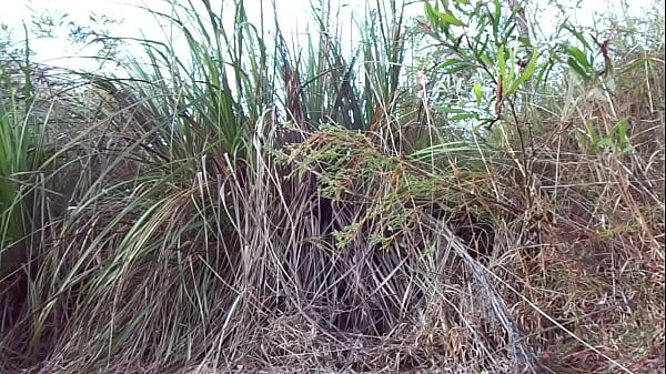 A story for Luna - Date Night