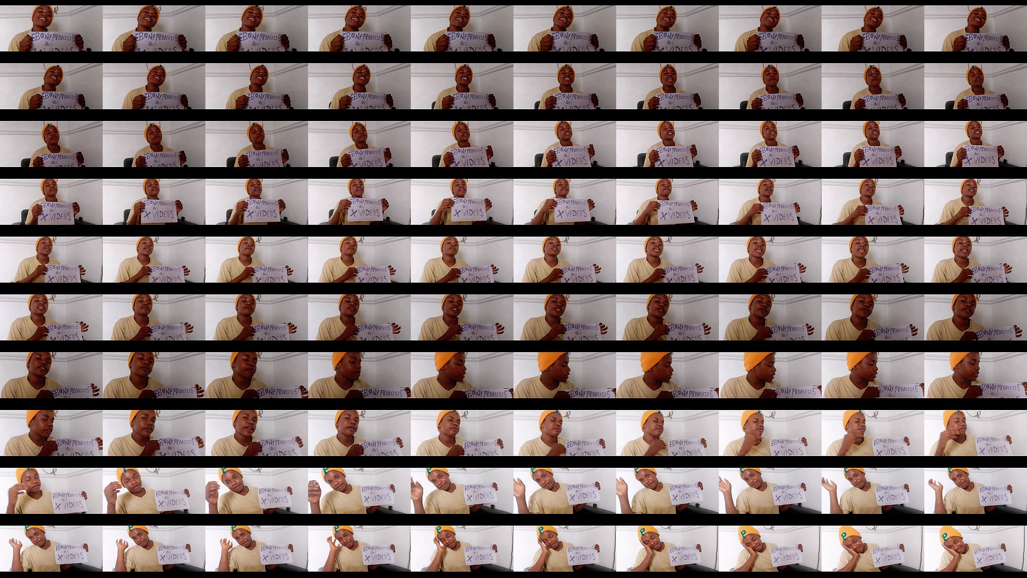 Verification video 预览图