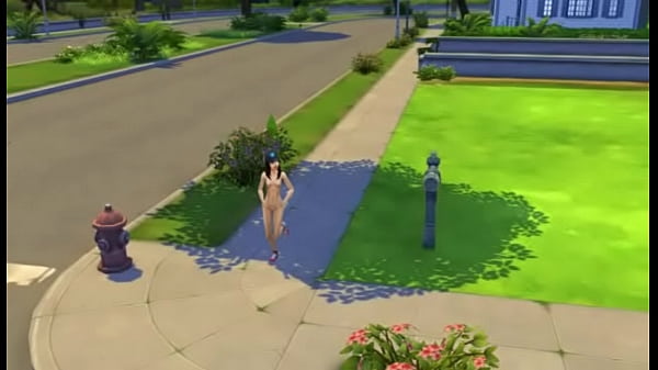 SIMS4-GO