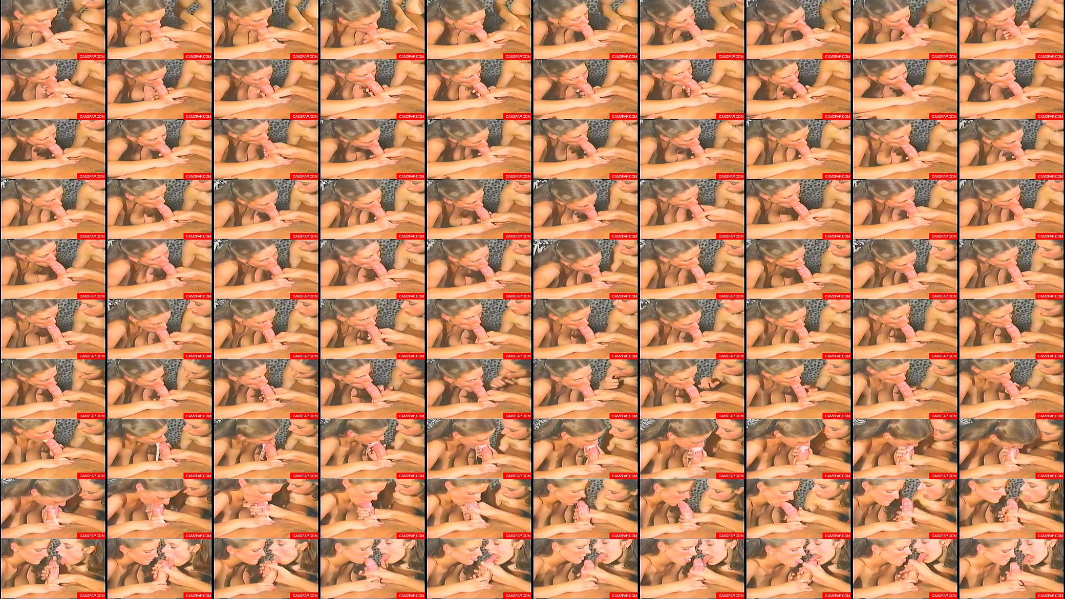 Oral Creampie Free Amateur Porn Video 预览图