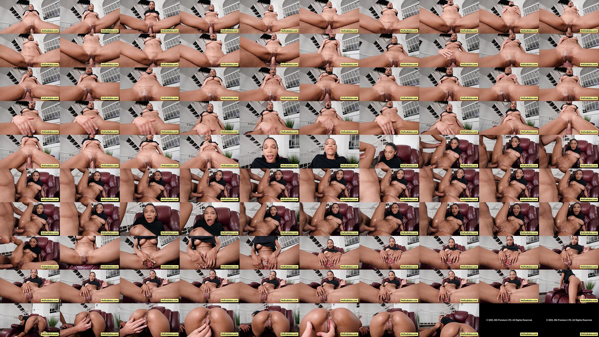 Busty black beauty enjoy massive dick inisde her wet cunt deep and fast - Eden West, Charles Dera 预览图