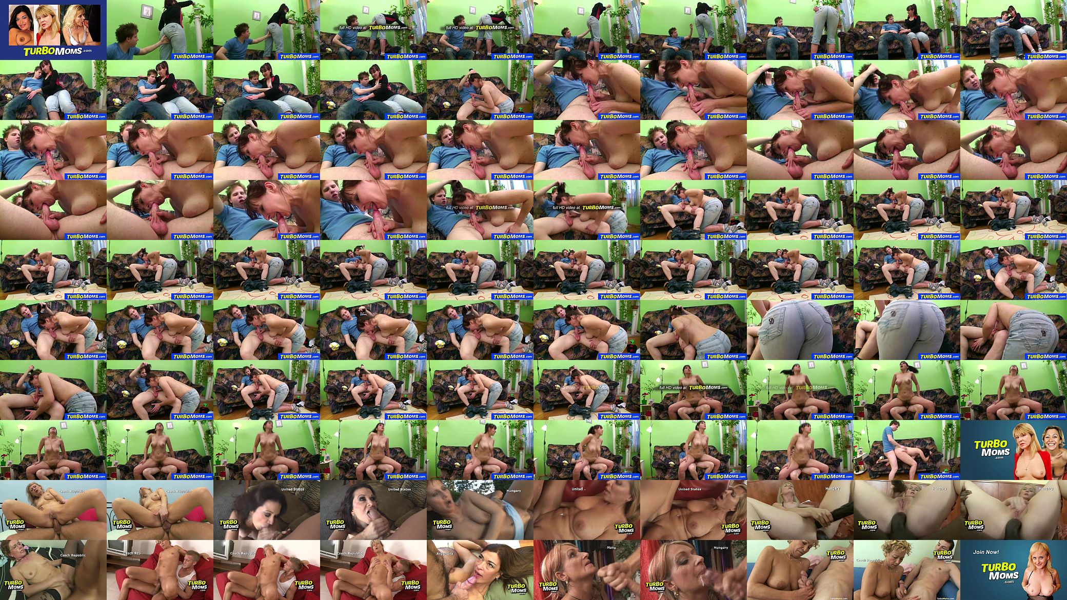 Hirsute housewife Karin sex with a teen boy 预览图