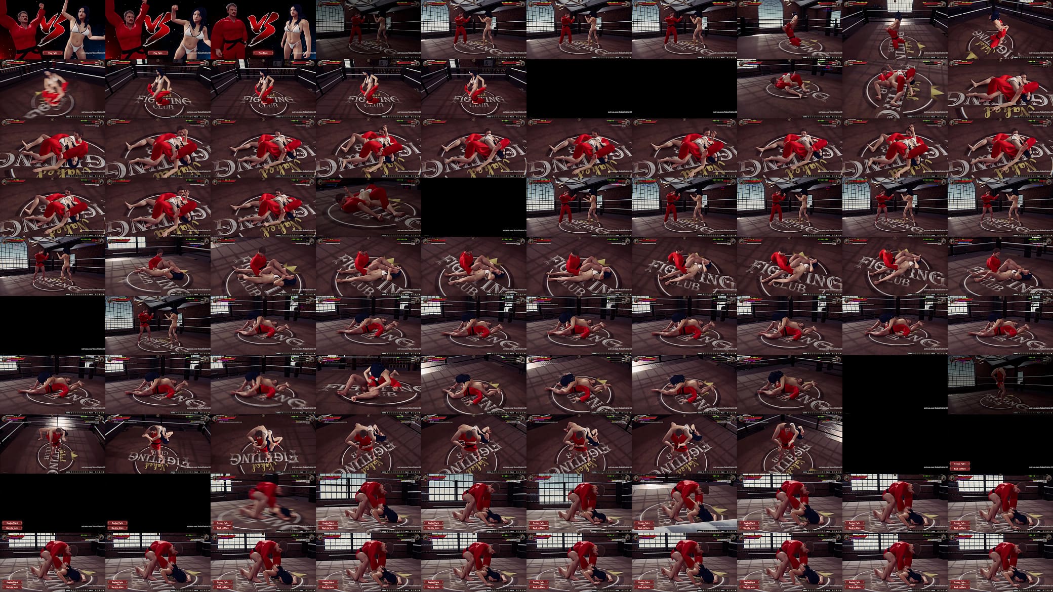 Master Ken Baiter VS Gale (Naked Fighter 3D) 预览图