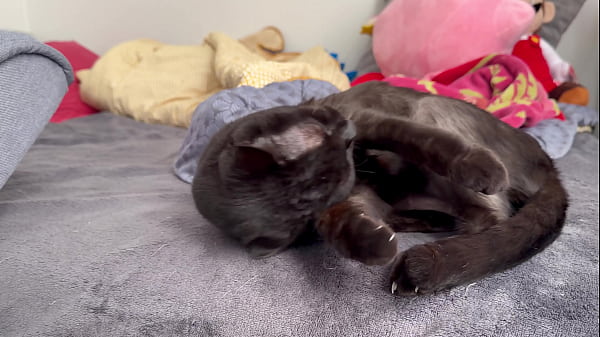 Pussy in 4K/120