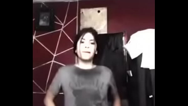 perrita ponce