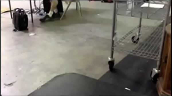 sophie hangs out at work no sound live