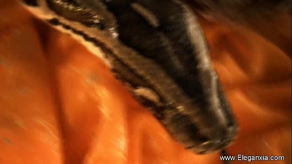 Download Video - Erotic Bollywood Dancing MILF