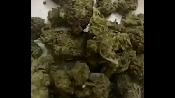 Make I call my dealer make him waybill Exotic Naijabangking00 uglygalz1