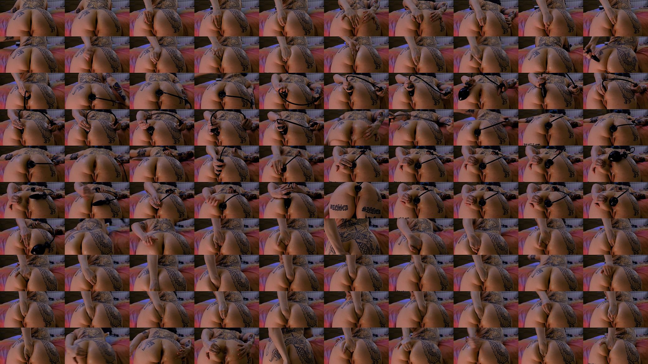 ANAL HOMIE 2.0 预览图