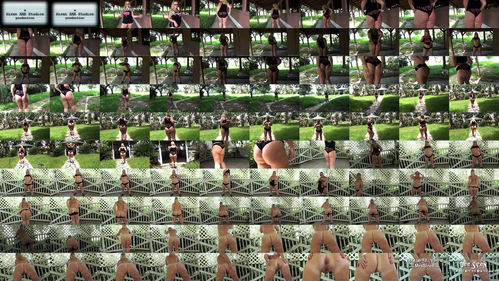Wife Naked in Public Gazebo 预览图
