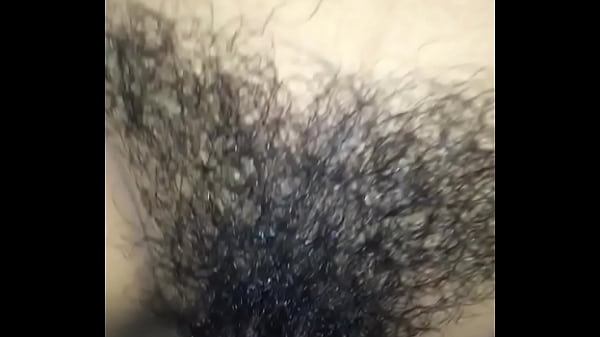 Hairy pussy fucked nicely