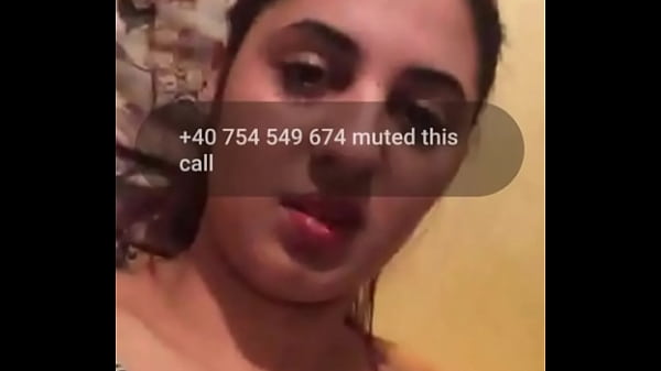 A bitch and two on the web