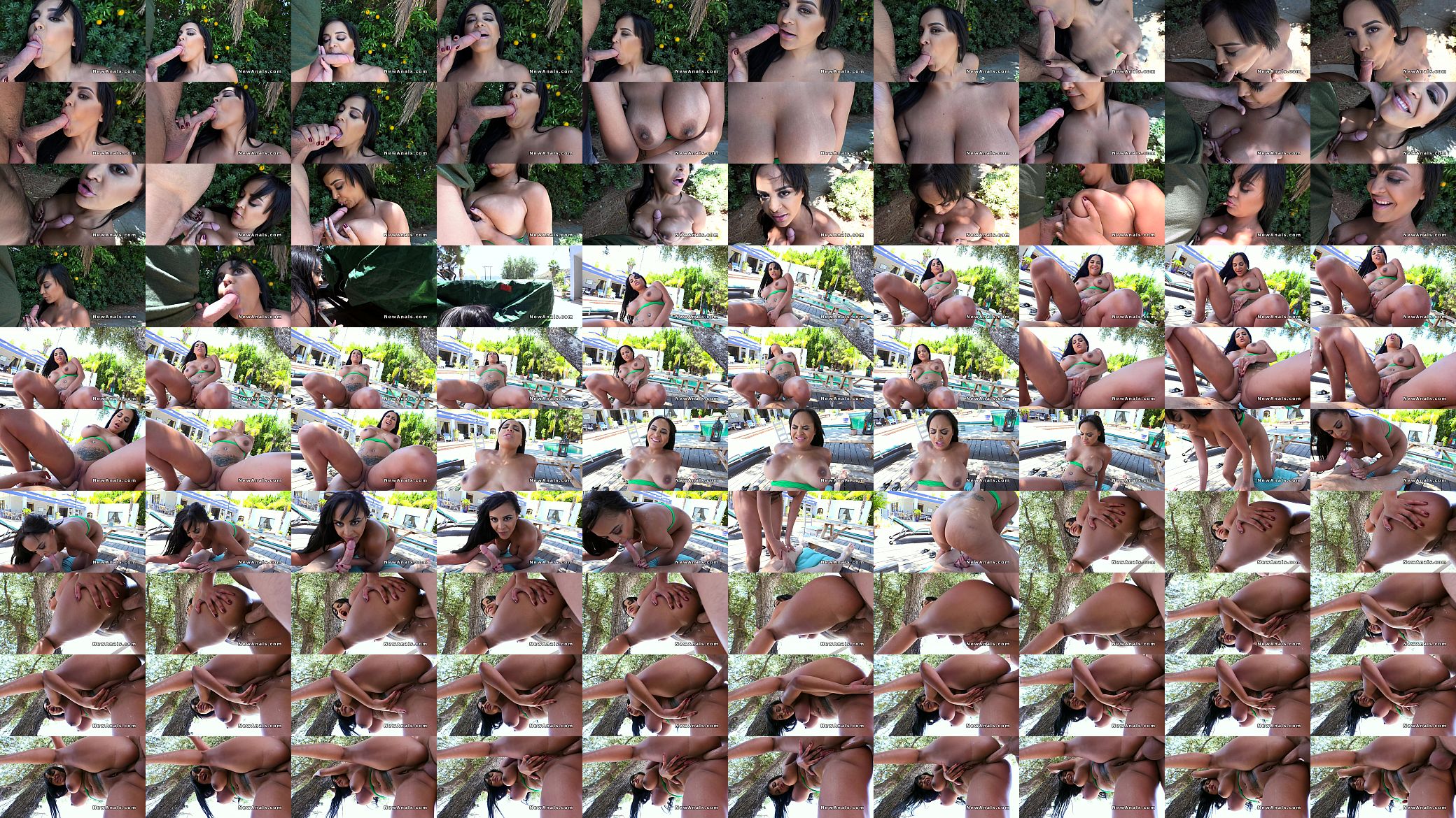 Huge tits Latina anal fucked in backyard 预览图