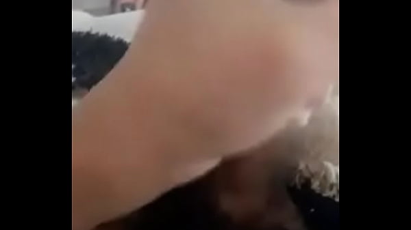 Download Video - quiero vaginas