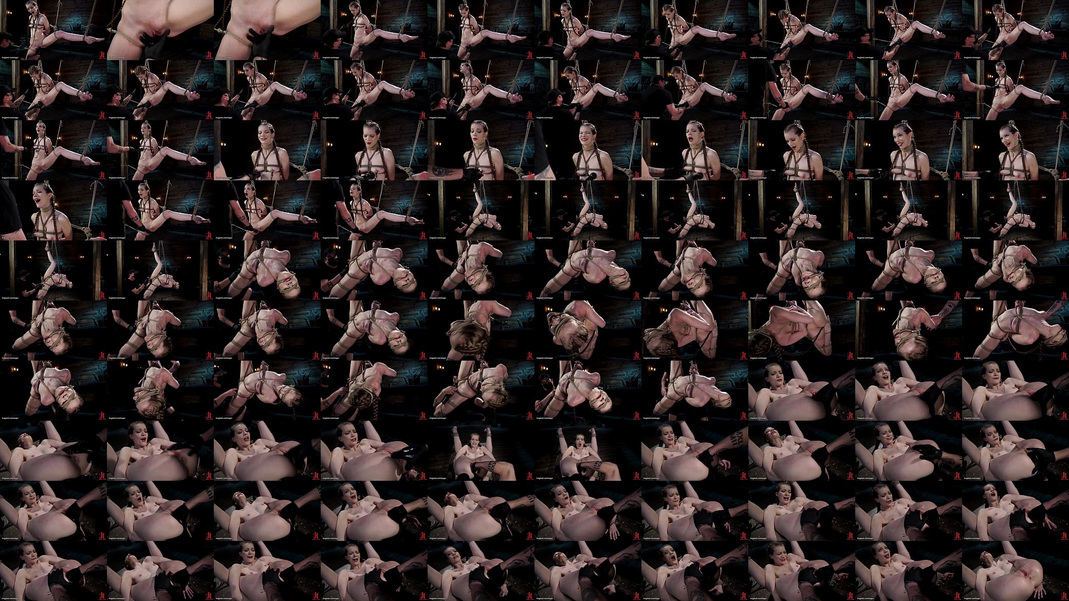 Bound slave vibed and fisted 预览图