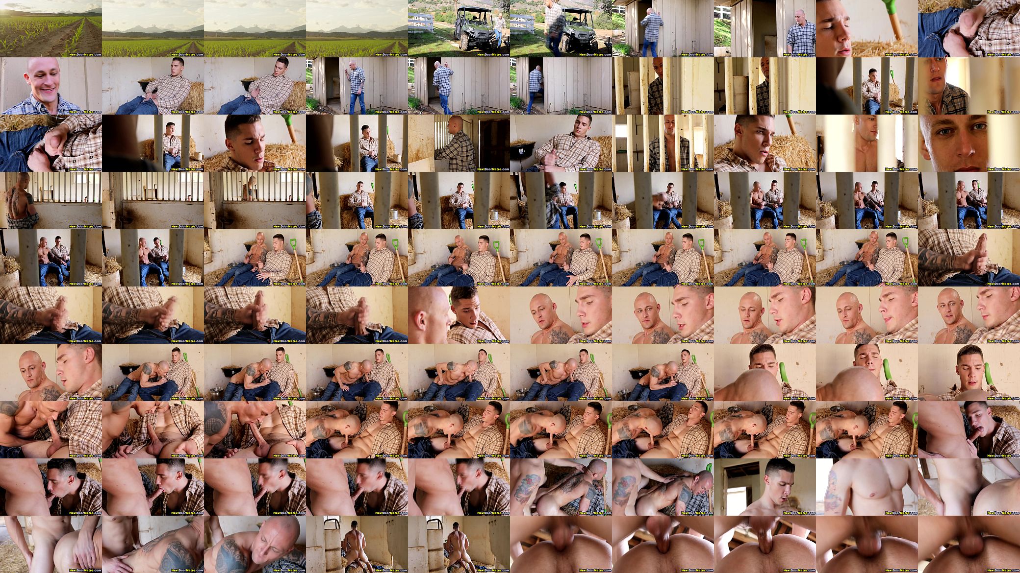 Shy farm boy&#039;s first time gay sex with his gay jock neighbour 预览图