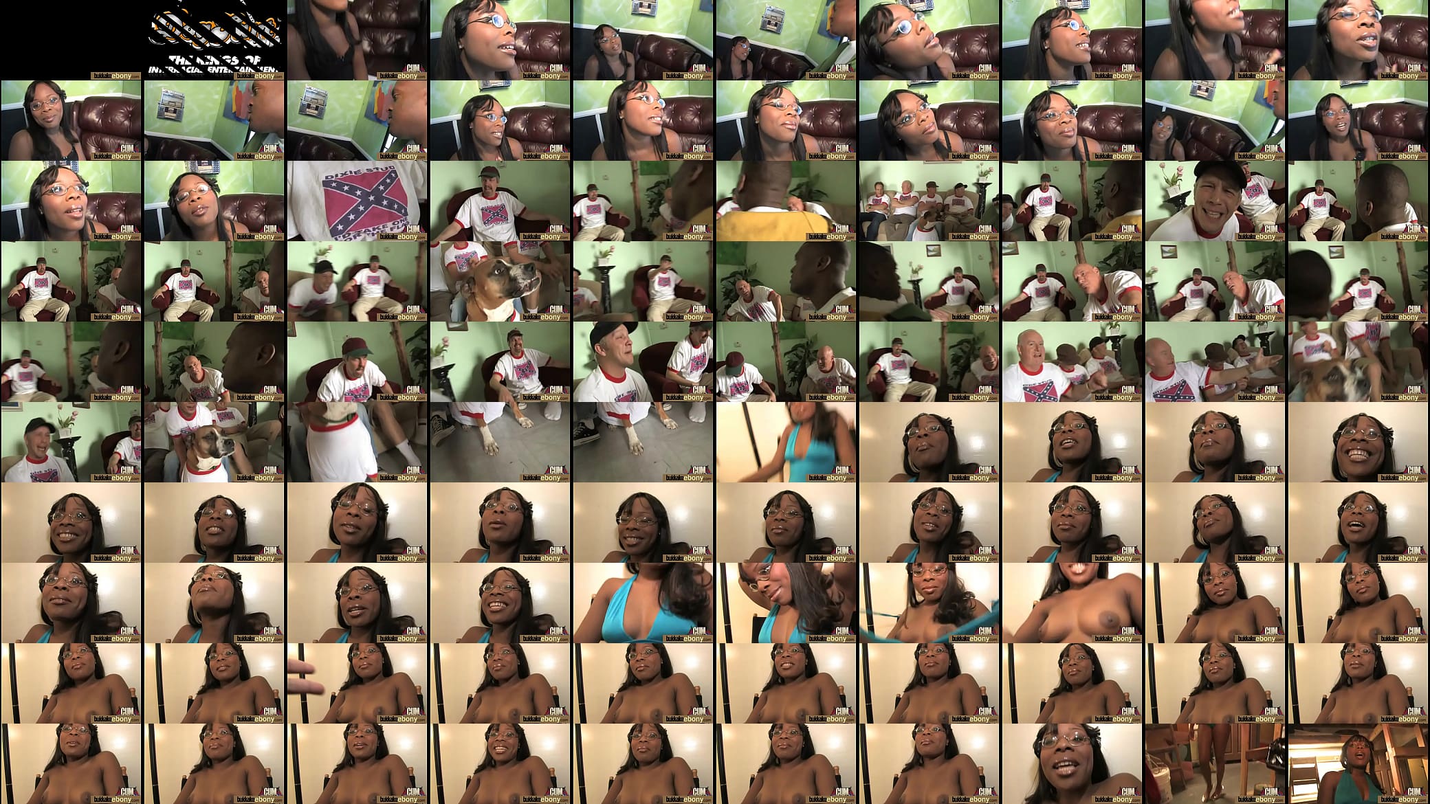 Hot Ebony Gangbang Fun Interracial 15 预览图