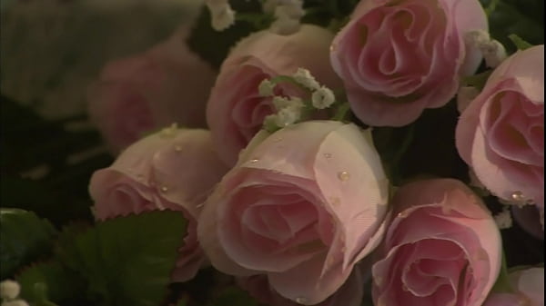 Heat, dominance, and a woman who leans into intensity.  Cherry Blossoms loves taking big black cocks in her throat and pussy, and especially outside under the sun.