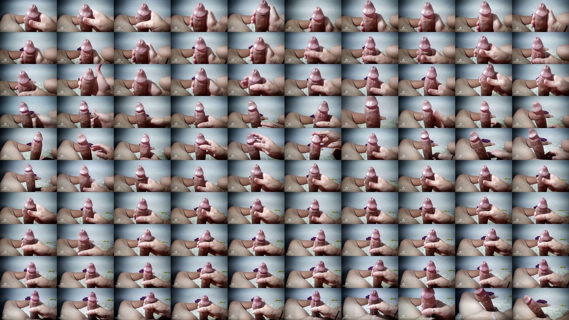 Close-up of the Best Affection a Cock Deserves 预览图